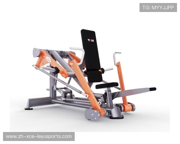 针对背部和腰部锻炼的健身器材推荐