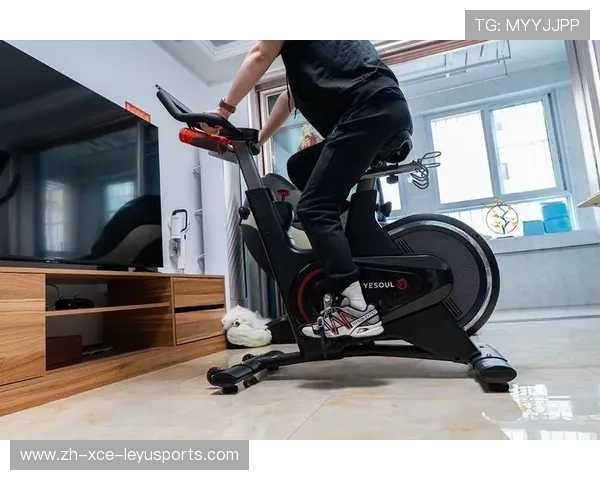 高效燃脂双模式智能调节室内健身单车设备